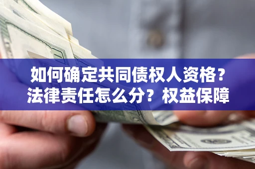 北京如何确定共同债权人资格？法律责任怎么分？权益保障技巧揭秘！