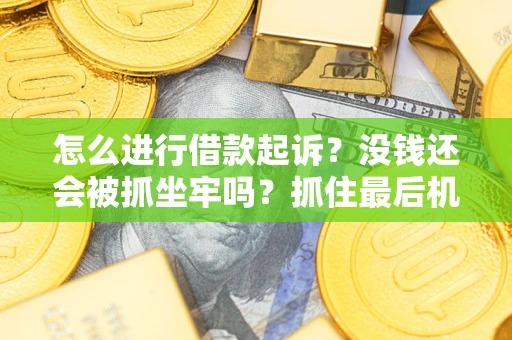 北京怎么进行借款起诉？没钱还会被抓坐牢吗？抓住最后机会！