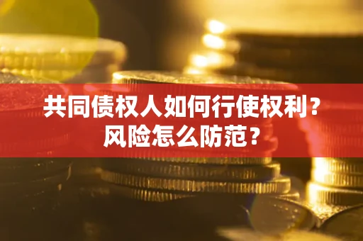 北京共同债权人如何行使权利？风险怎么防范？