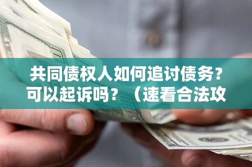 北京共同债权人如何追讨债务？可以起诉吗？（速看合法攻略）